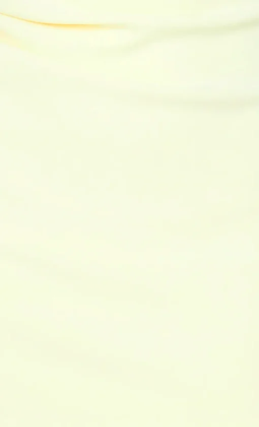 Bec and Bridge BEC + BRIDGE - LETTY MINI DRESS (LEMON)